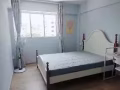 波东巴西🈶️主人房房，普通房出租，可以报地址包水电，网，整套6个人