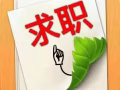 3号驾照找工作