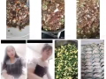 手工水饺
