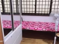 1 分钟到海军部地铁有一间普通房出租，搭房也可以。限女生。请电91505796。