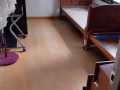 文礼268普通房出租1200，二月底入住，可以夫妻可以两个男生同住。可报本屋地址服务或制造业地址，,不靠走廊,带阳台。环