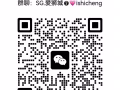 狮城生活群