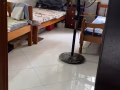 义顺大牌280男女搭房招一个男生