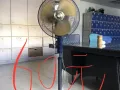 风扇便宜出