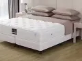 King Koil mattress 金可儿床垫