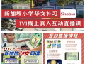 ✨新加坡小学1V1华文补习（free试听）