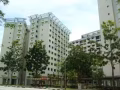 各区多个咖啡店和工业区摊位出租，煮炒、鸡饭、麻辣香锅，板面......提供一切执照