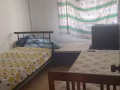 港湾，欧南园附近招主人房，男搭房，单间，男/女生床位，夫妻间出租