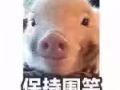 尋找帶簽人