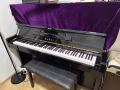 自家用kawai BL-51特别版本-骗子勿扰，本人男，谢谢