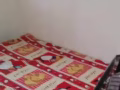 老文礼208夫妻房本屋制造业地址