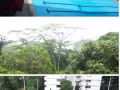 近地鐵站, 大巴窯公寓空調女2人間（主人房）出租, 可報地址，包水電網,可煮, 公寓周圍環境優美