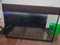 闲置鱼缸
