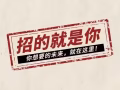欢迎加入我们团队-新加坡最大保险集团诚聘财务顾问！机不可失！！！！！！