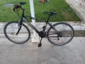 淡滨尼回国甩卖通勤自行车