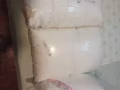 全新枕头抱枕