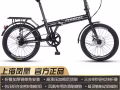 凤凰牌折叠自行车9.99新