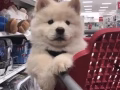 想当老板的看过来