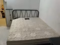文礼普通房出租