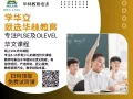 精英老师华文补习psle，olevel