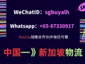 中国-新加坡物流   Buylah集运