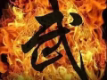 新加坡散打格斗搏击武术
