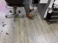 出租或出售髮廊