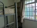 Punggol 女床位出租