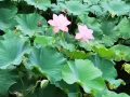 找私人助理