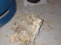 专业机械疏通管道 ：马桶 ， 地漏 ，洗脸盆，下水道等一切堵塞 待置顶