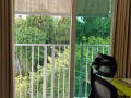 Canberra近地铁站普通房 带阳台