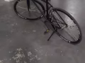 死飞自行车