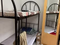 海軍部大牌 743, 男床位, 馬上入住, 可報本屋地址。房租 S$450/月, 包水電網冷氣。聯繫電 96601404