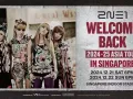 2NE1 新加坡站 12月21号和22号的门票