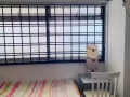 兀兰普通房招租一名女搭房