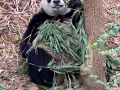 动物园门票