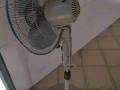 全新风扇 只用一次