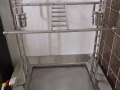 出售鹦鹉和笼子用品
