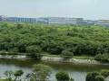 Hougang超划算公寓小普通房+独立小卫生间出租（仅限单人）