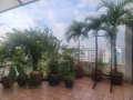 三巴旺 sun plaza 公寓整租
