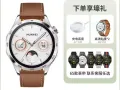 便宜出9成新华为GT4 山茶棕 手表$ 100