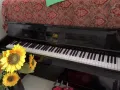 超低价出售Bohemia Piano钢琴