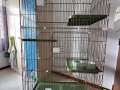 猫笼子
