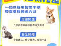 SG国际宠物托运
