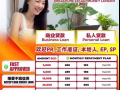 工作准证 WP SP PR LOCAL 都可以申请贷款 无需押金 最快批准贷款