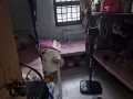 兀兰关卡女三人间床位出租