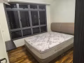 盛港单间出租  公寓式 落地大窗户。窗帘布配齐