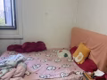 大牌534