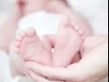 **素食家庭专属**上门育儿保姆煮饭服务 🌱👶🍲