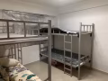 直落布兰雅  大牌38